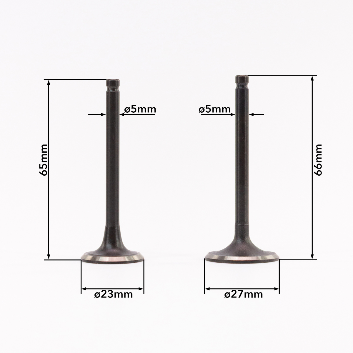 IMG_0754_ копия